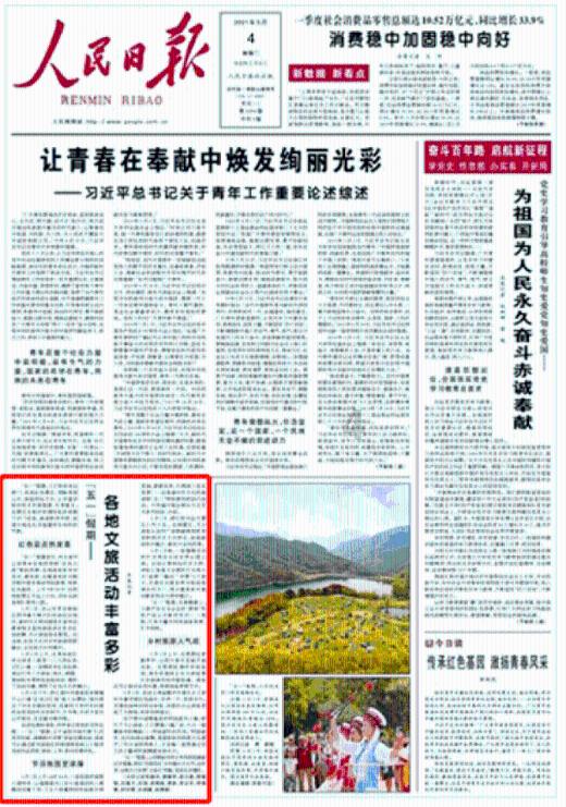 探秘羊吃什么草料最好-洞头新闻网